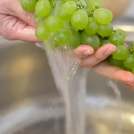 Blue Lavender Apartament