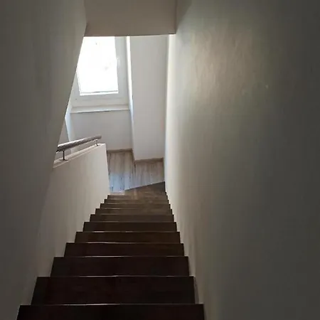 Blue Lavender * Cres