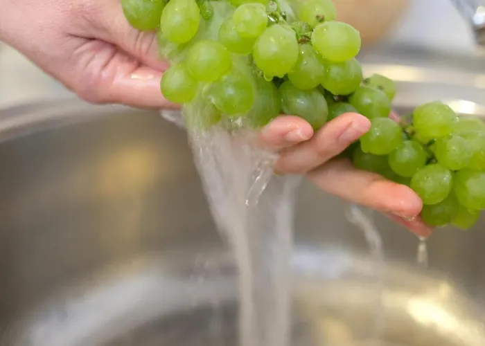 Blue Lavender Apartment